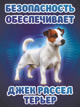 Охраняет джек-рассел-терьер